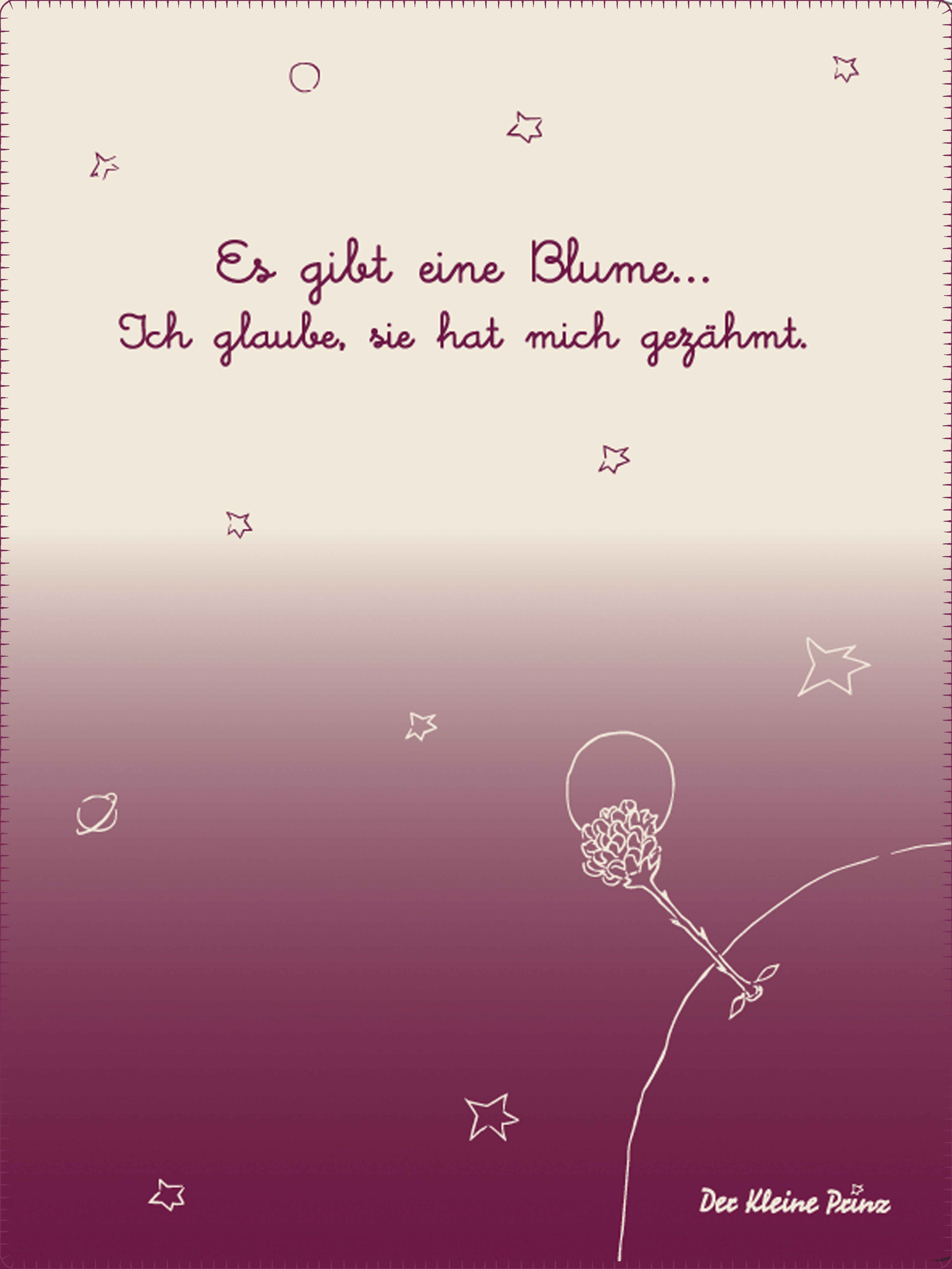 Kuscheldecke-Der-Kleine-Prinz-Blume Bild: