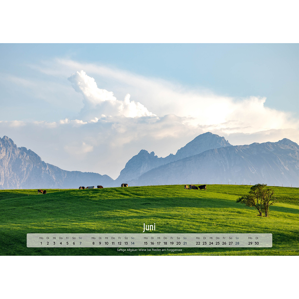 Feld, Weide, Gras, Grünland, Landschaft