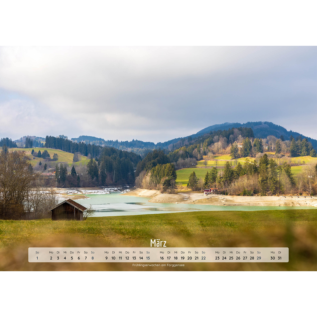 Natur, Draußen, Szenerie, Auf dem Land, Baum