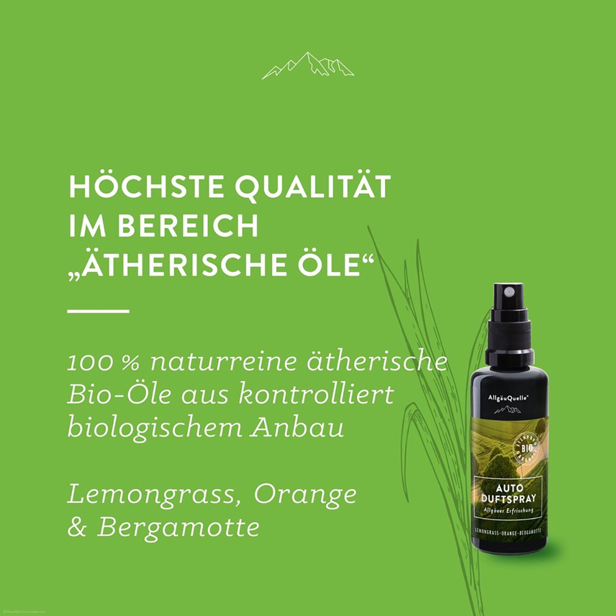 Lemongrass-Orange-Bergamotte Bild: