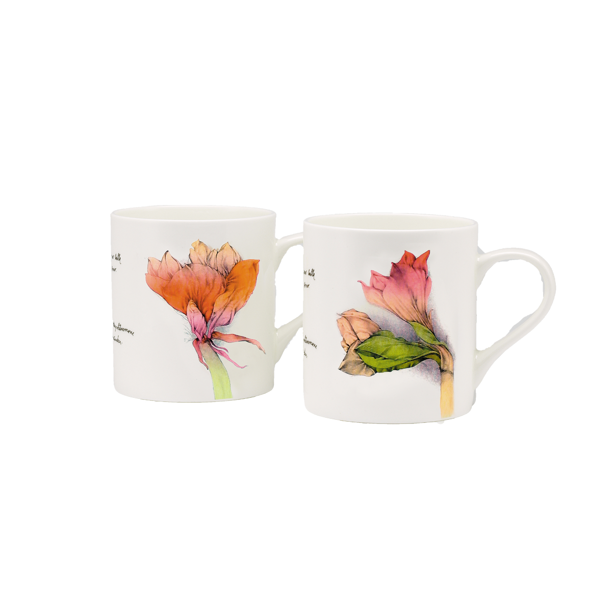 0840831_SL01 Bild: Bruno Bruni: 2 Becher "Amaryllis" im Set, Porzellan