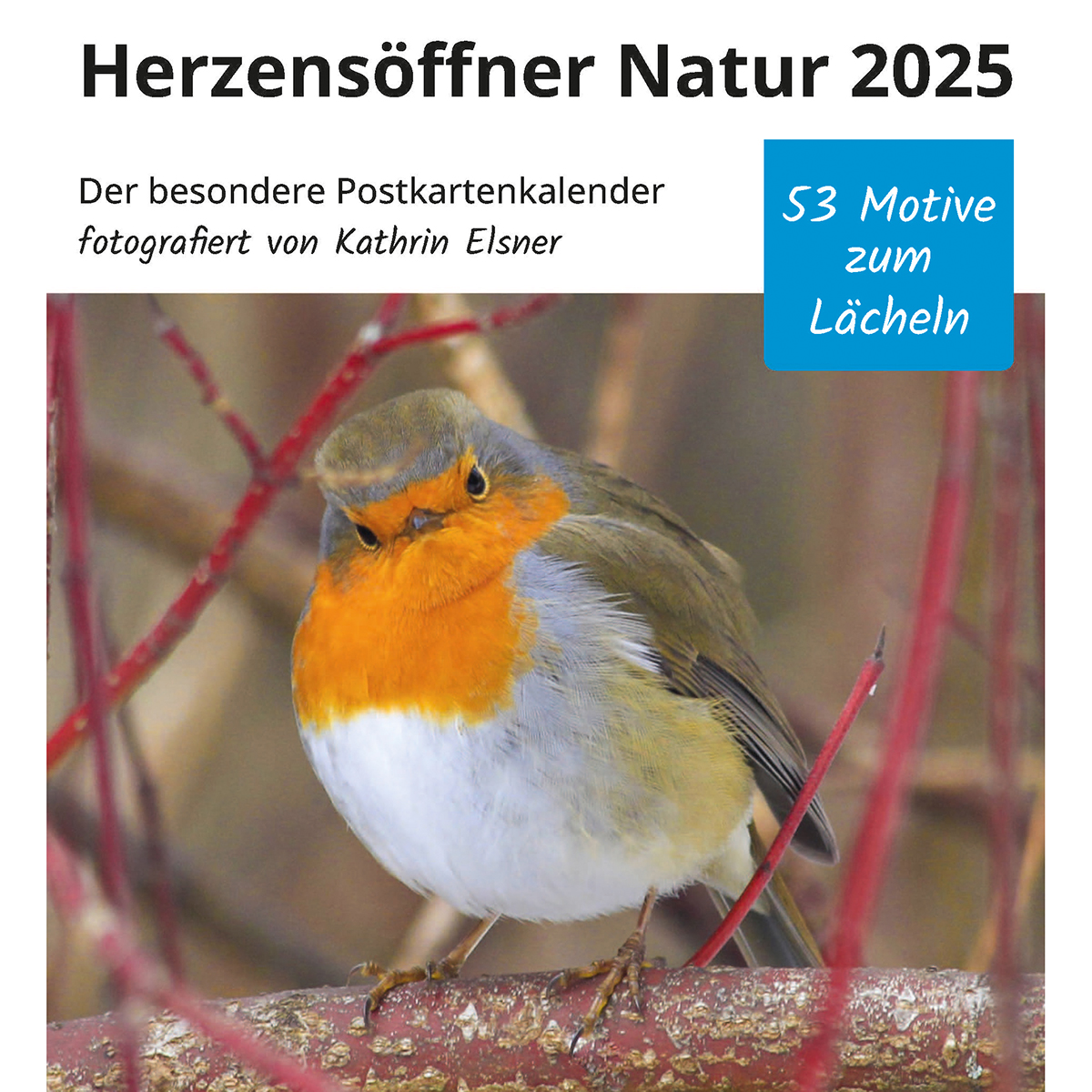 Postkartenkalender “Herzensöffner Natur“ 2025