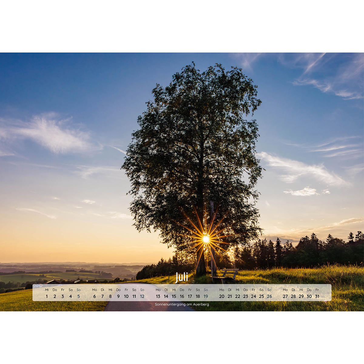 Baum, Himmel, Baumstamm, Gras, Park