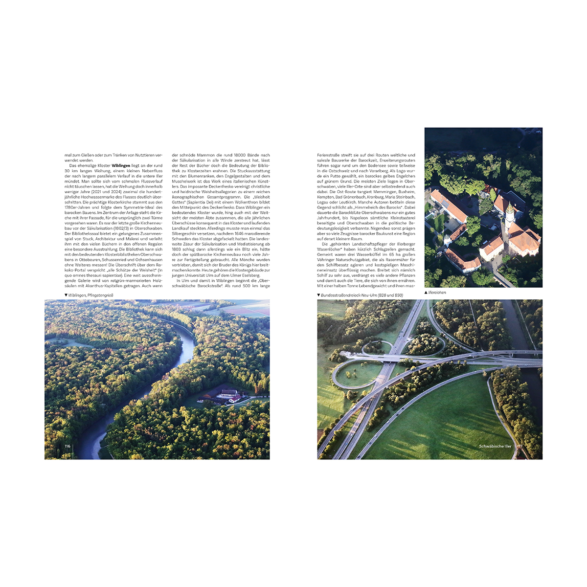 Pflanzenwuchs, Land, Draußen, Wald, Straße