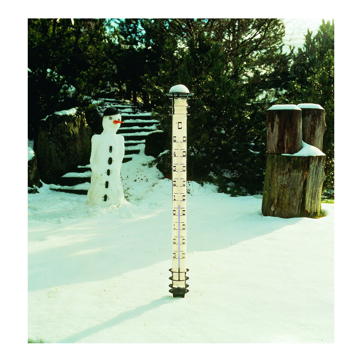 Gartenthermometer