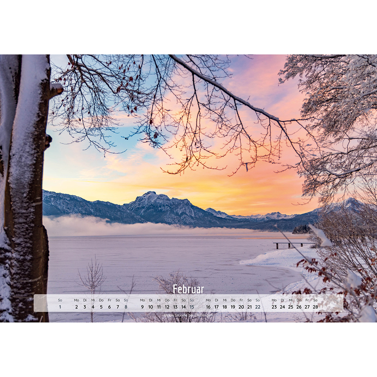 Natur, Draußen, Szenerie, Baum, Baumstamm