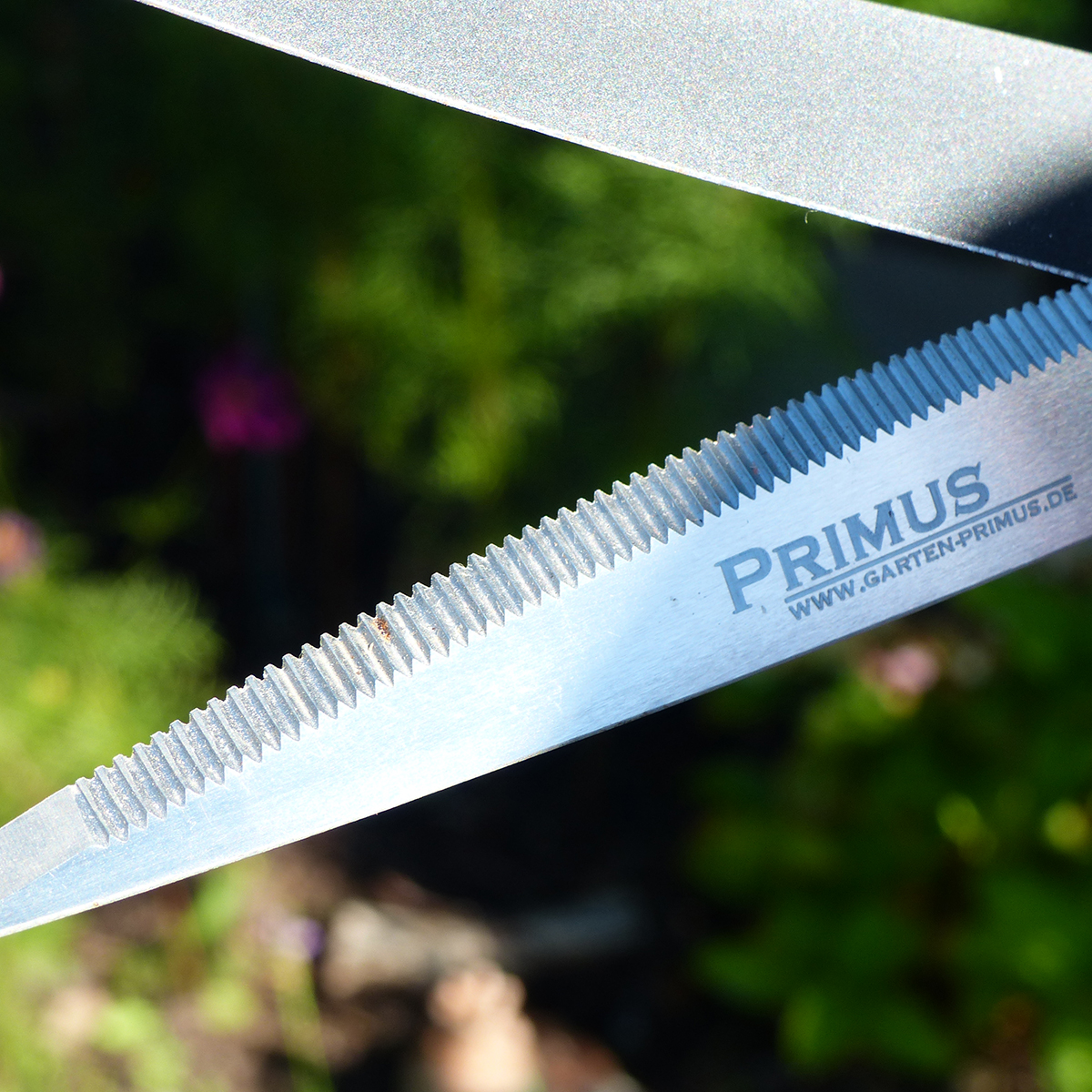 71404_Rasenkanten_Schere_03 Bild: