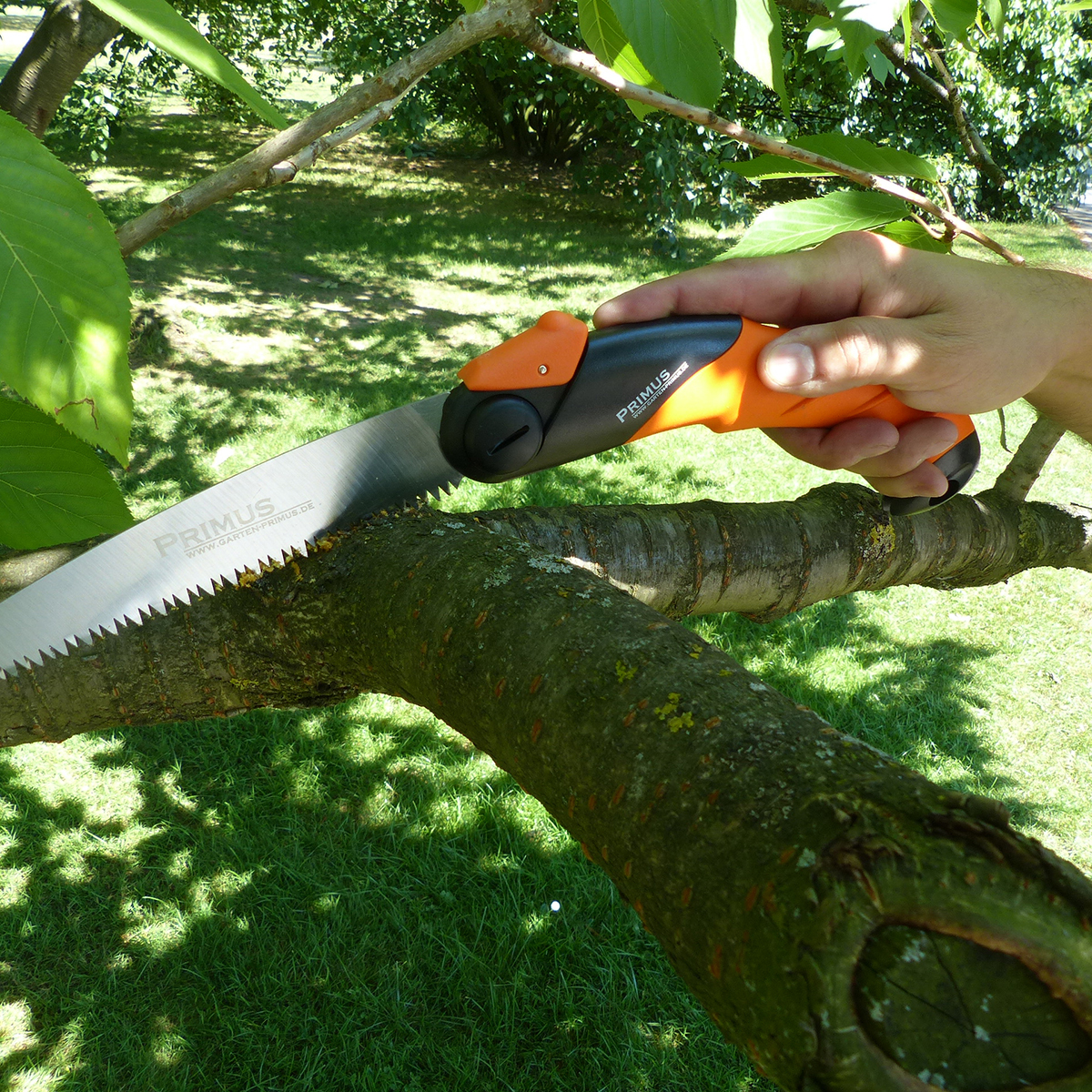 Garten, Draußen, Messer, Waffe, Vegetation