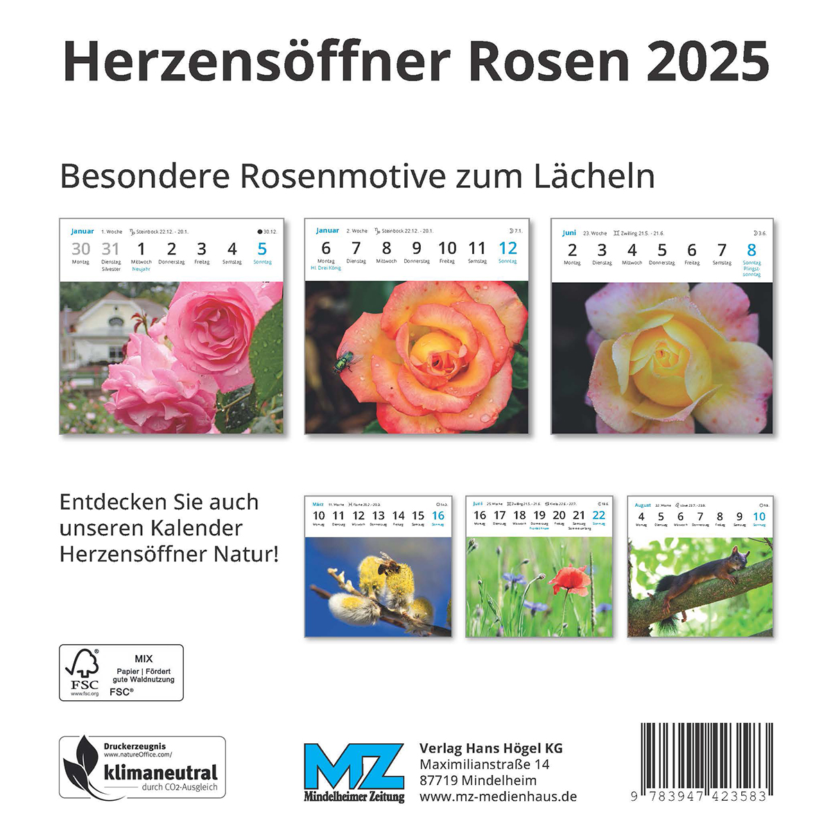 Postkartenkalender “Herzensöffner Rosen“ 2025