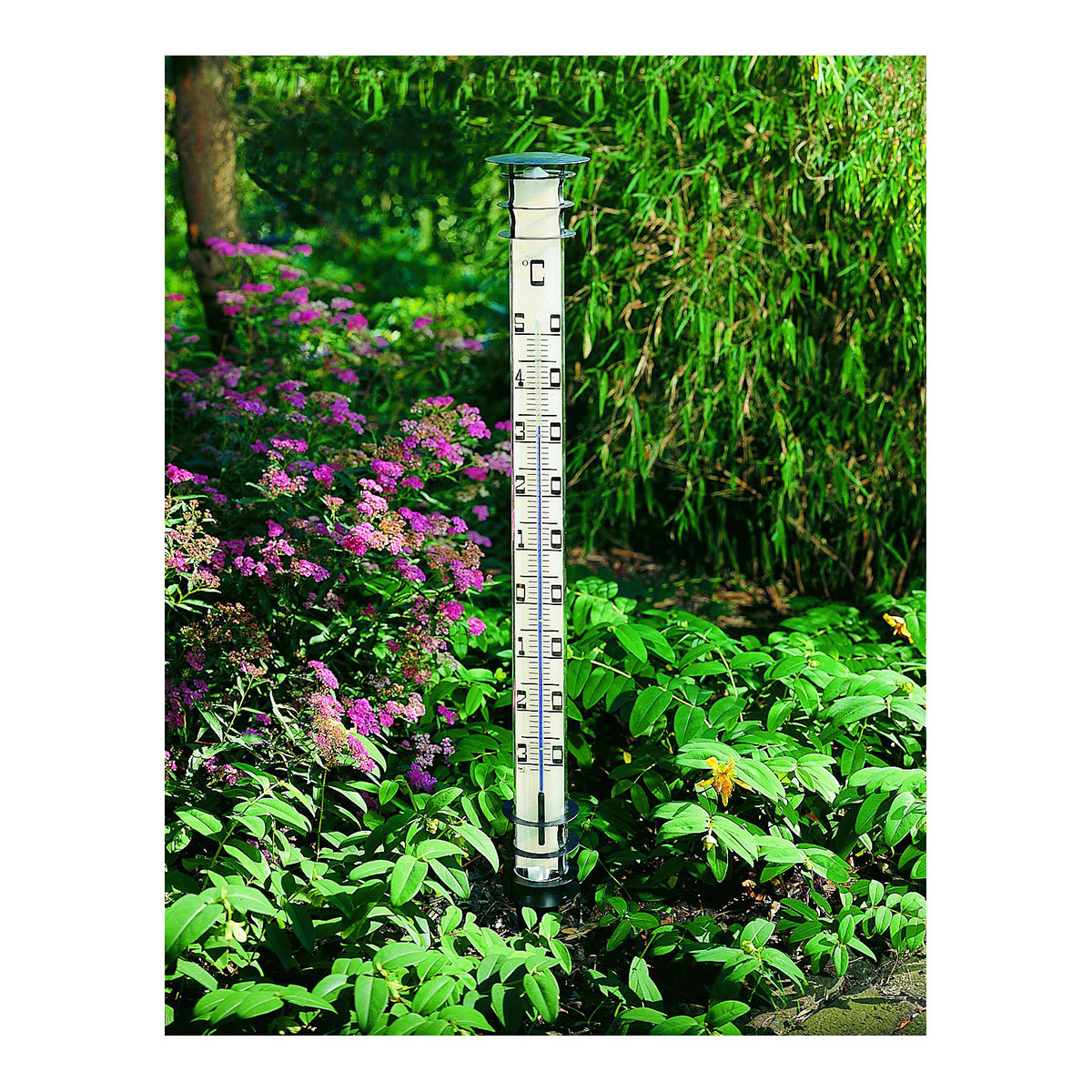 Jumbo-Thermometer_anwendung Bild: