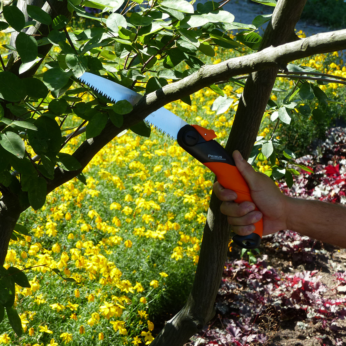 Garten, Natur, Vegetation, Kräuterig, Gartenarbeit