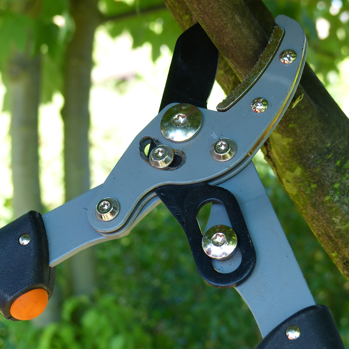 Gerät, Klammer, Werkzeug