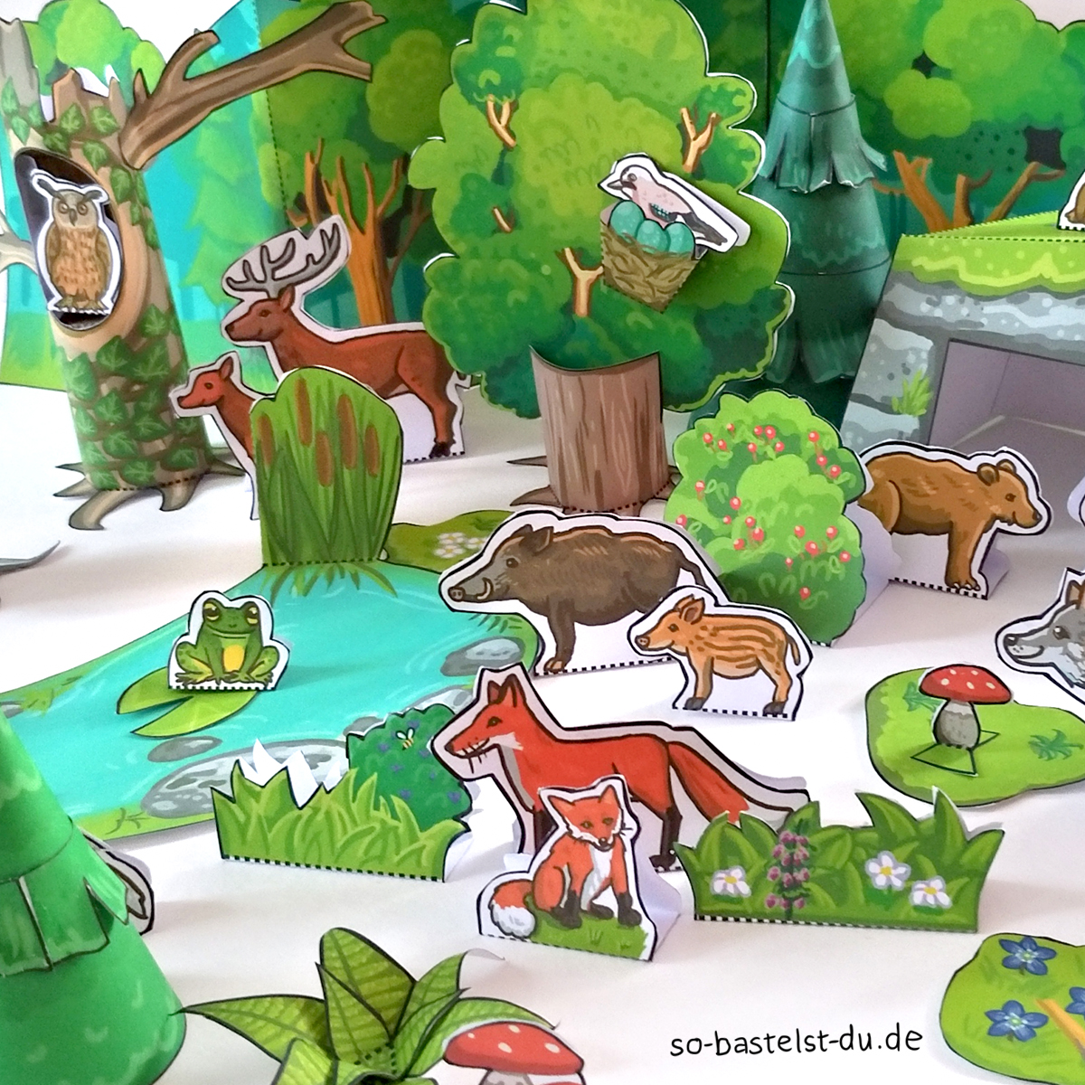 Basteln-Gruenburger-Wald-Details Bild: