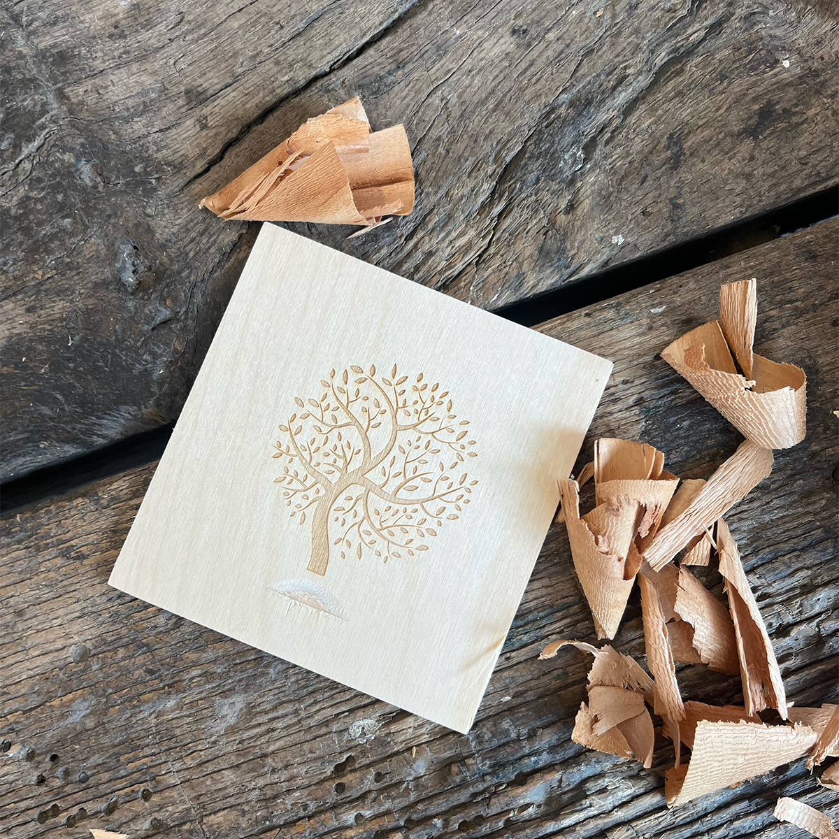 Visitenkarte, Papier, Text, Holz