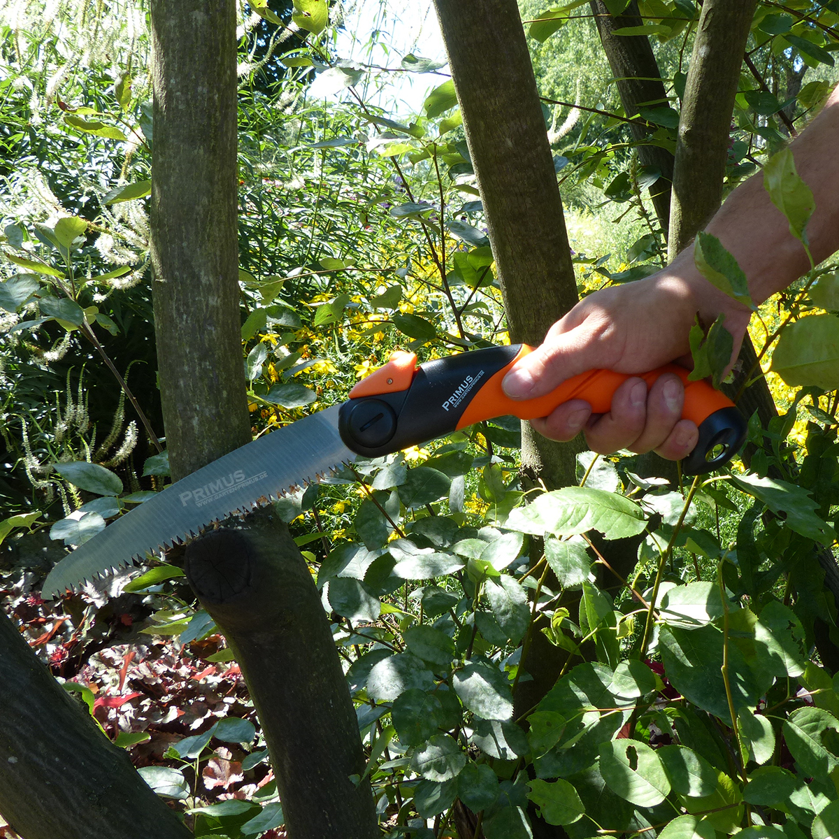 Garten, Natur, Draußen, Pflanze, Vegetation