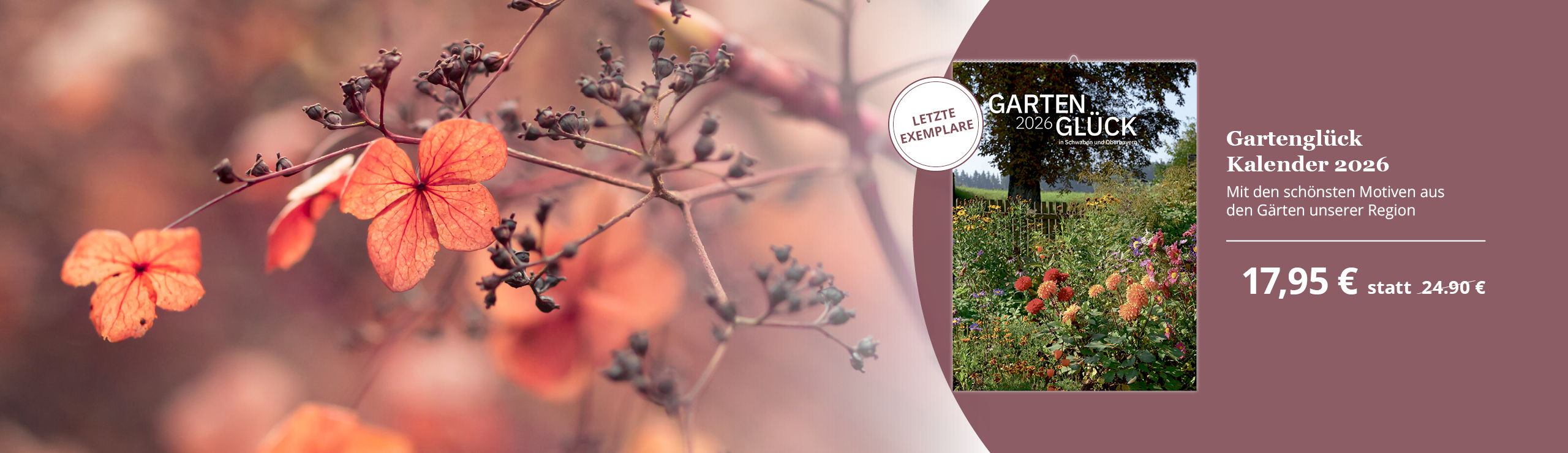 Blatt, Pflanze, Blume, Geranie, Baum