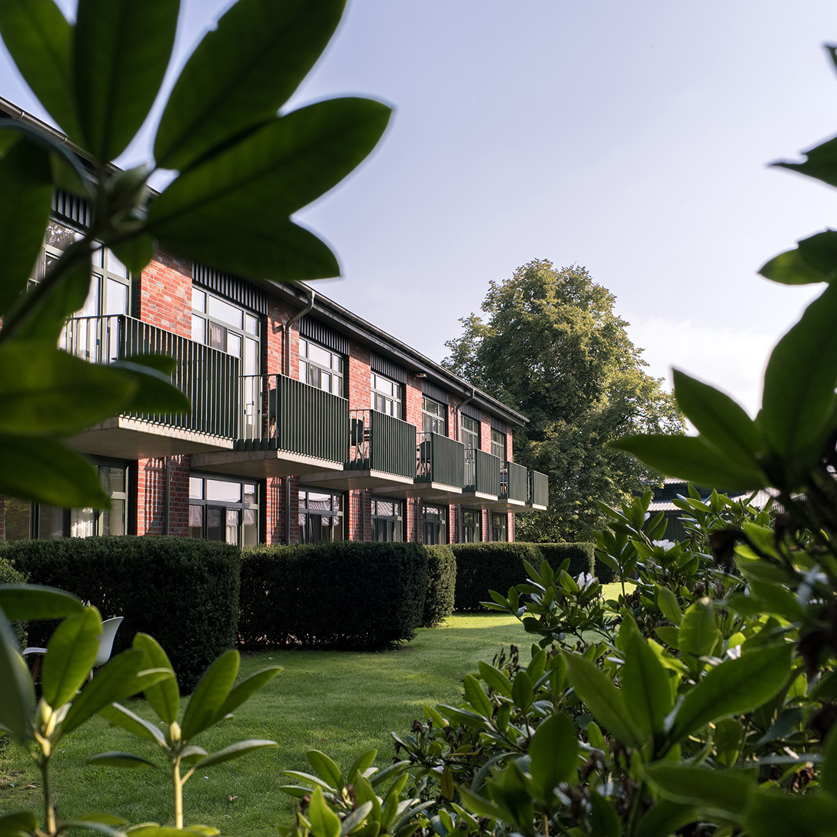 Stadt, Städtisch, Gras, Pflanze, Wohnen