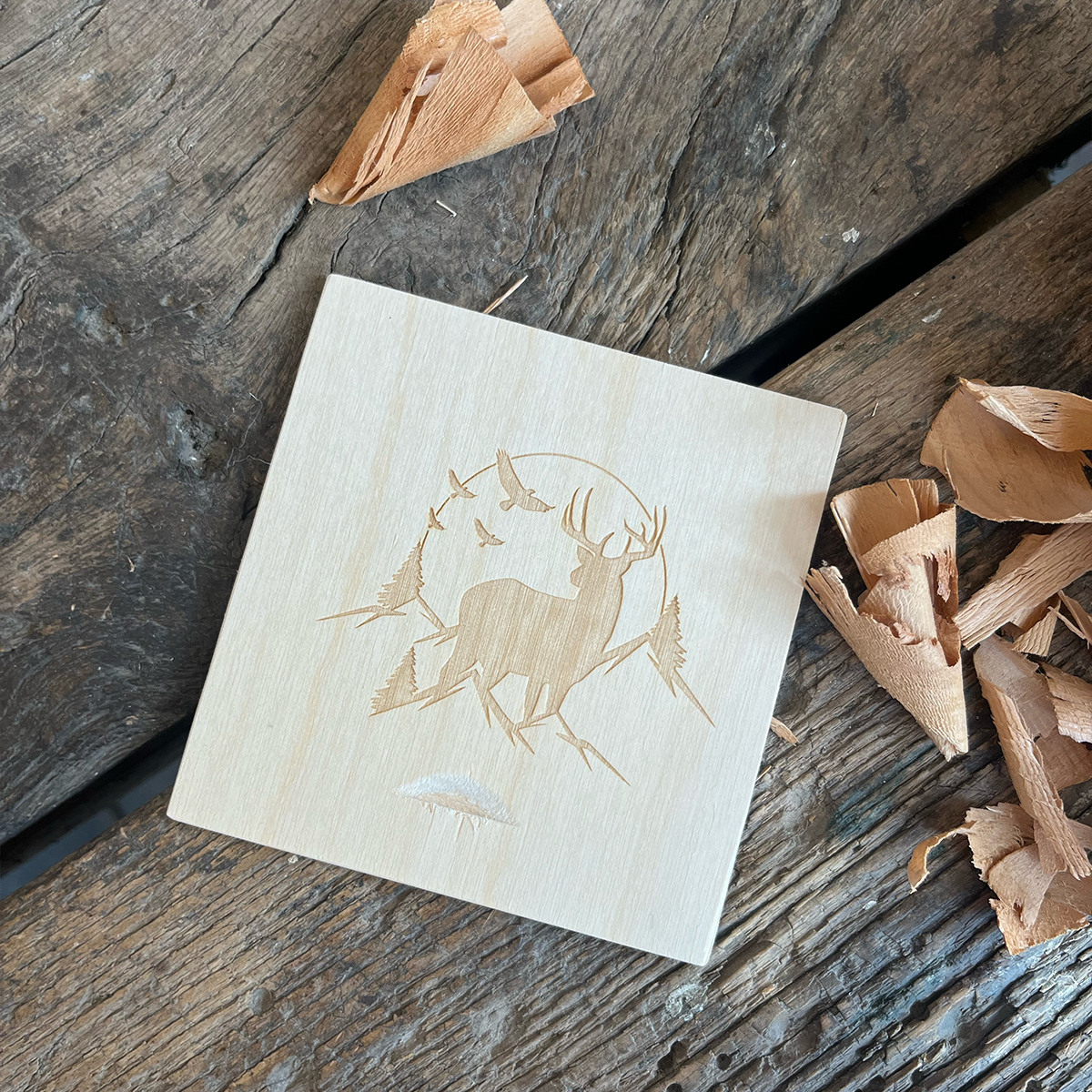 Holz, Visitenkarte, Papier, Text