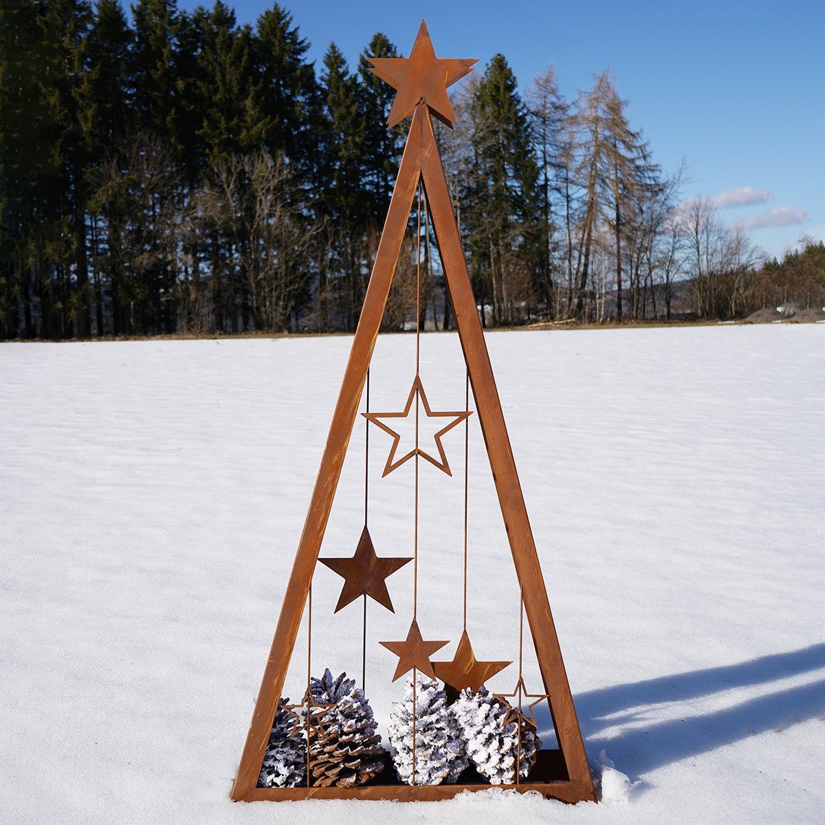 Pflanze, Baum, Holz