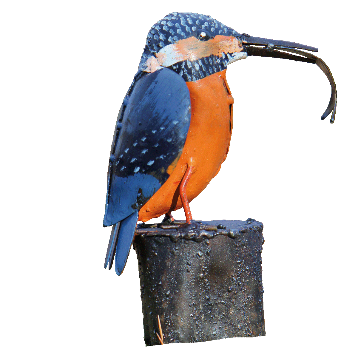 Eisvogel-mit-Fisch Bild: