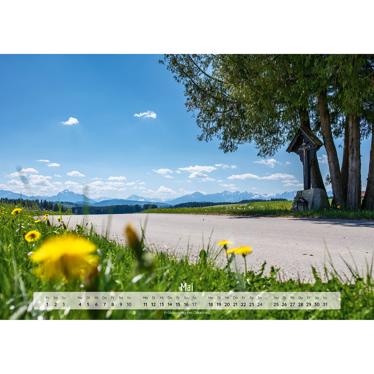 Gras, Baum, Baumstamm, Grünland, Landschaft