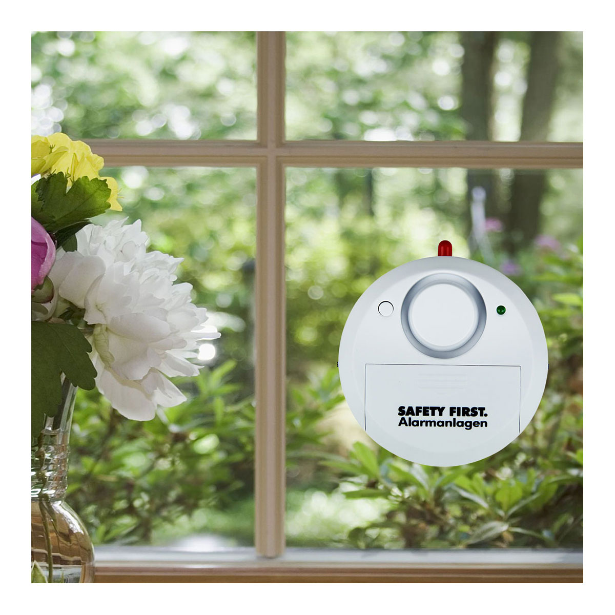 Blume, Blumen-Arrangement, Fenster, Rose, Töpferei