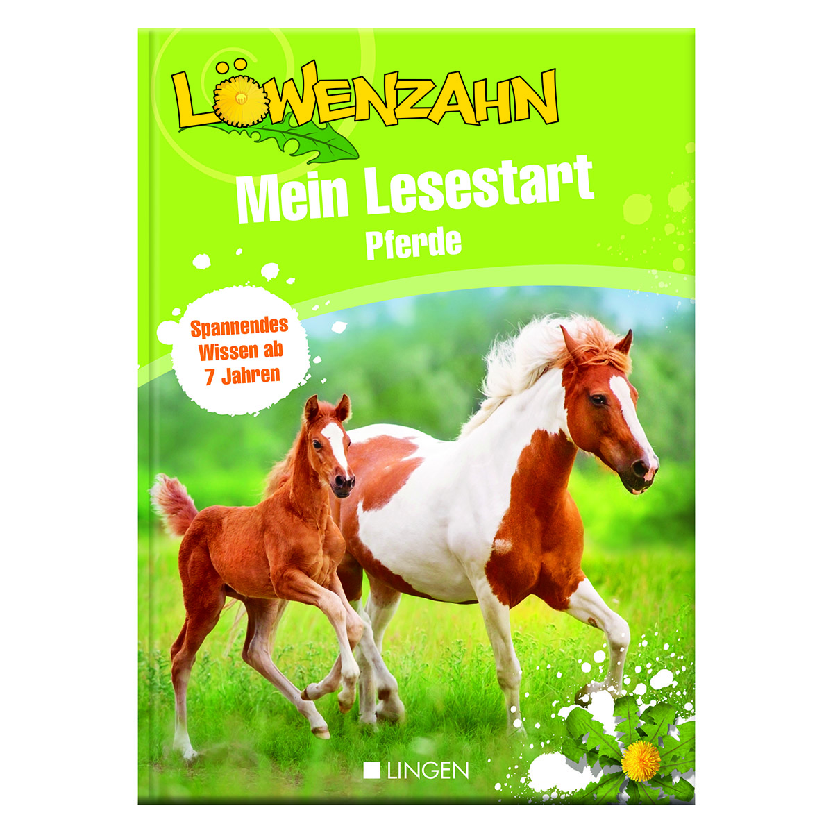 Löwenzahn Set für Leseanfänger - 3-teilig