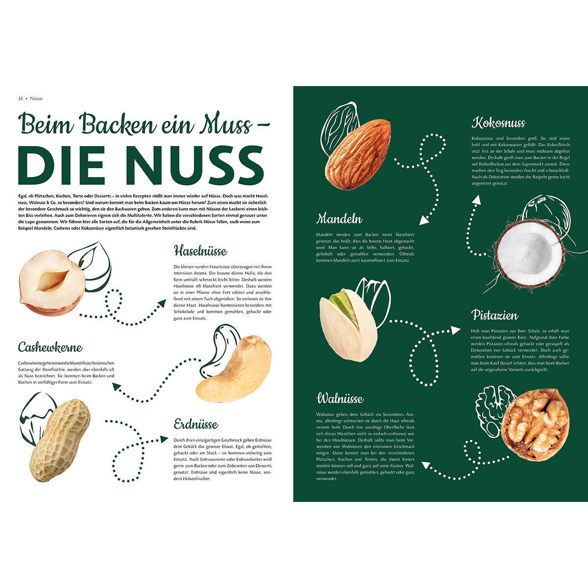 Zuckerguss28-Nusse_Sonderseiten_1200x1200px Bild: