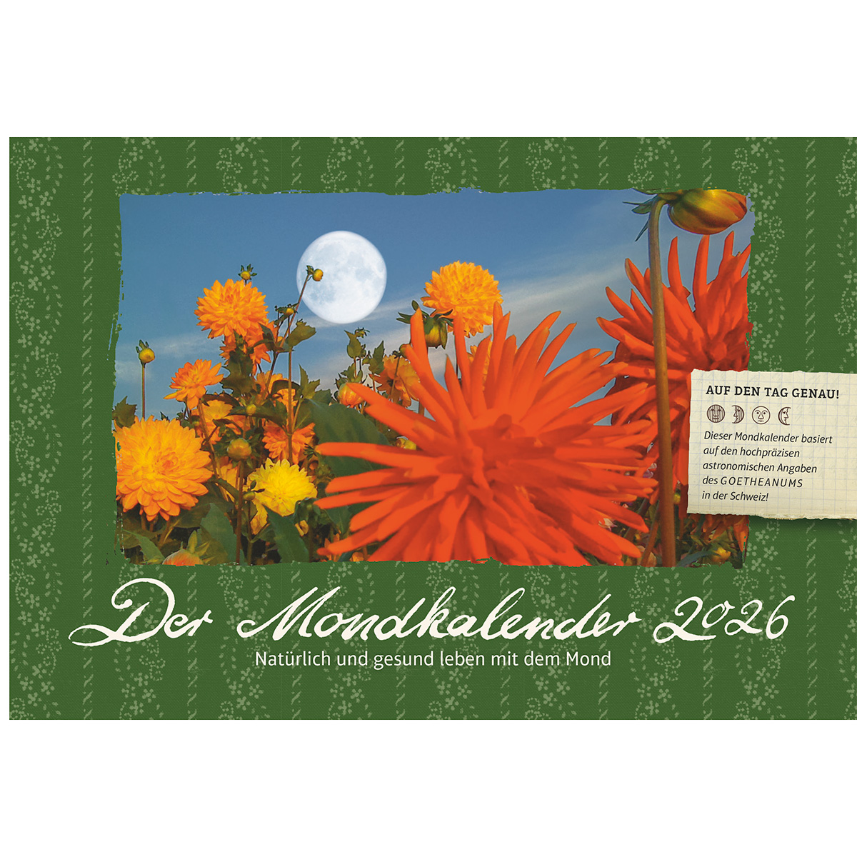 Dahlie, Blume, Gänseblümchen, Blütenblatt, Grußkarte