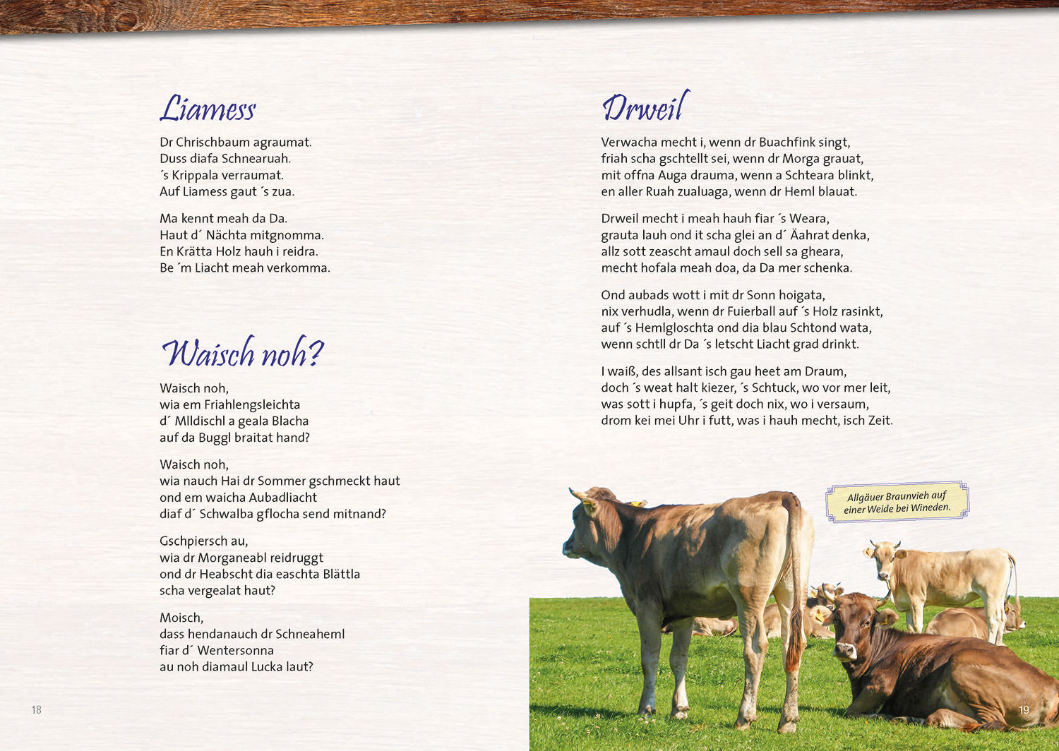 Doppelseiten_auswahl_Seite_2_ShopbjAUesEe573Yr Bild: