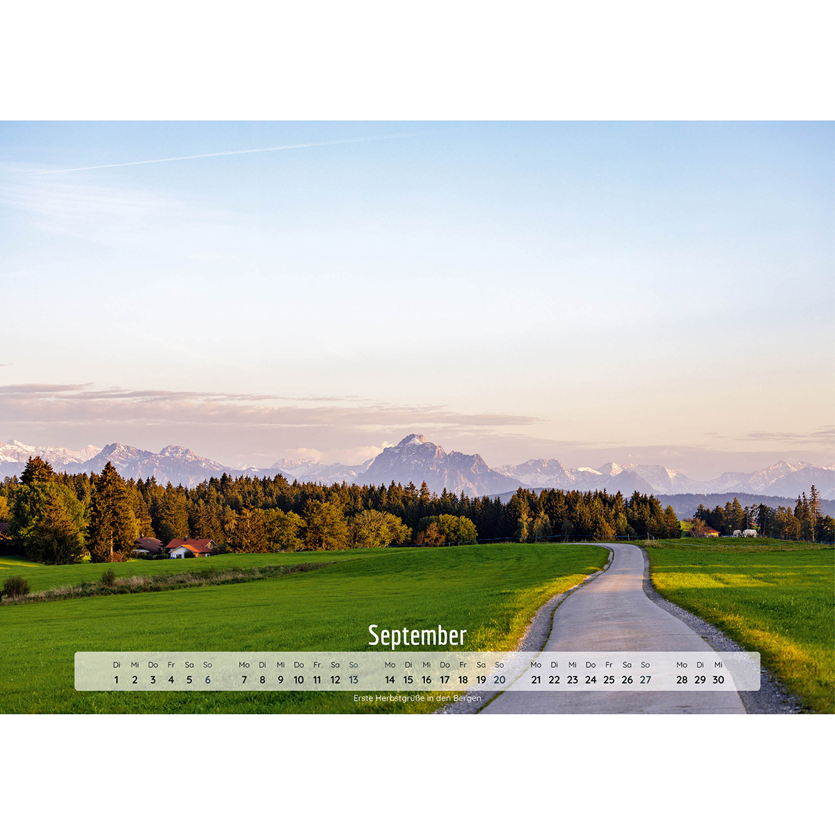 Gras, Feld, Straße, Draußen, Szenerie