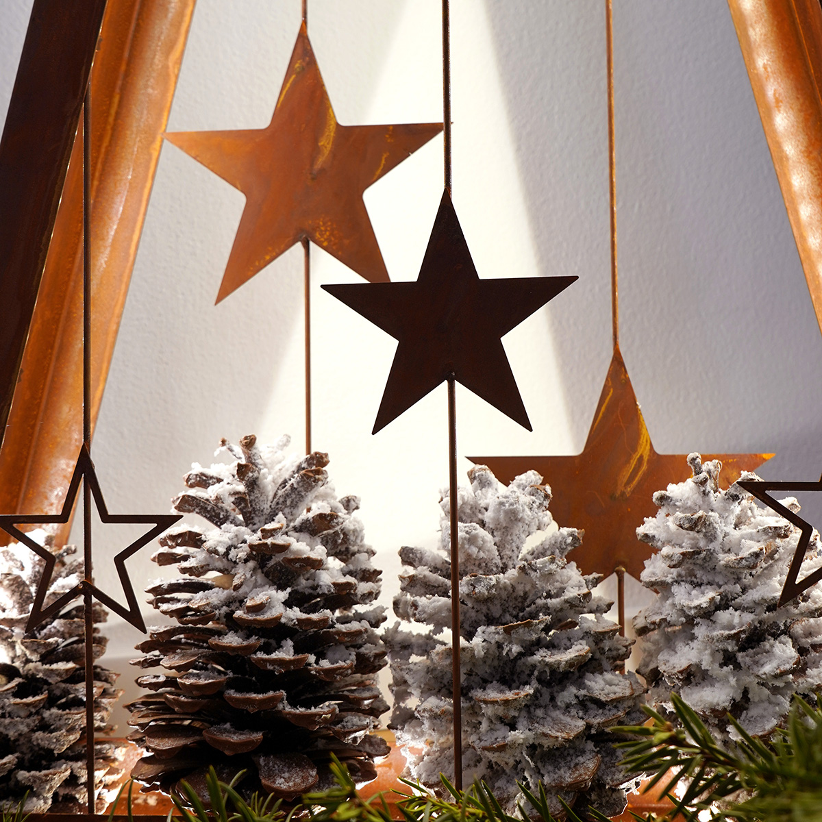 Baum, Blatt, Sternsymbol, Symbol, Tanne