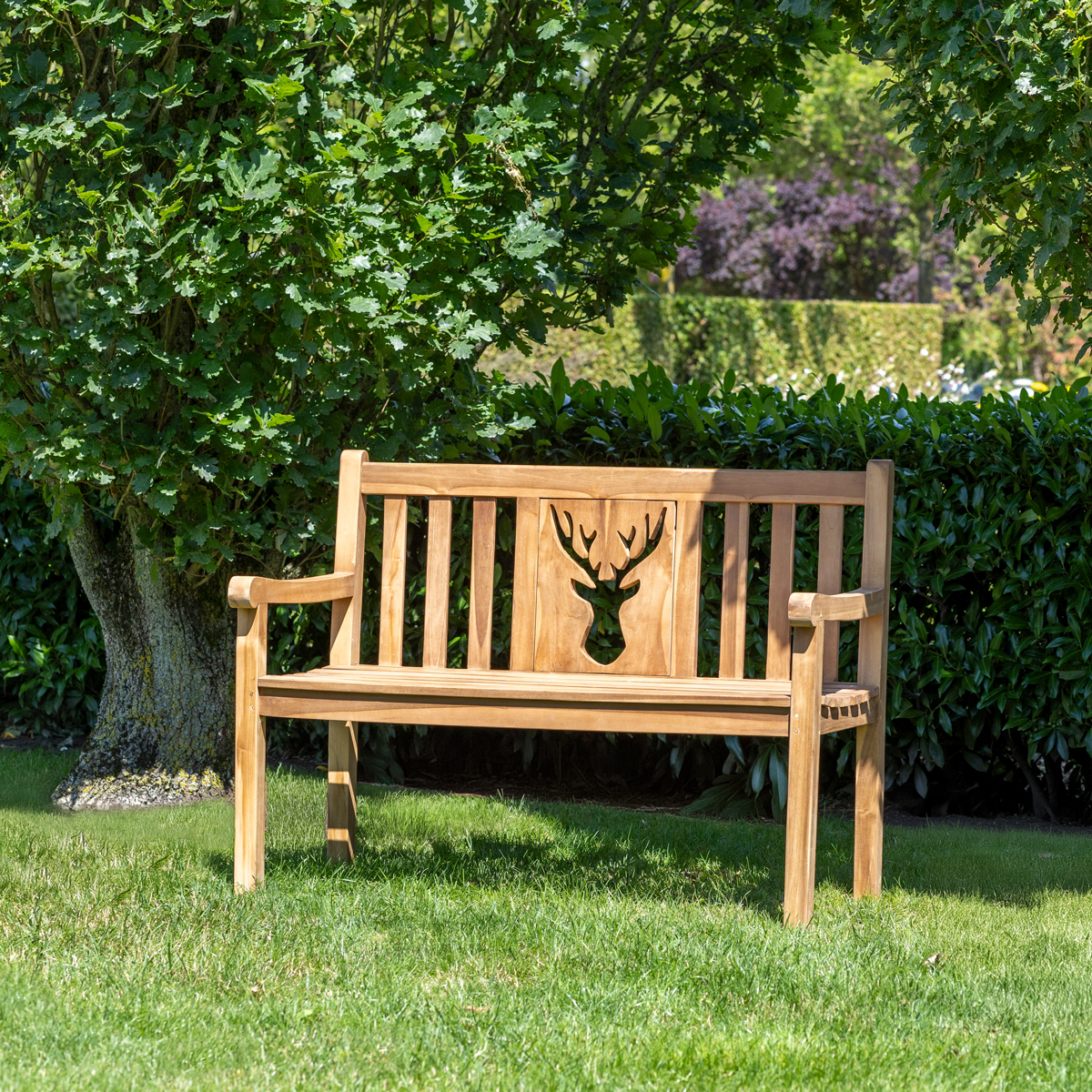 Bank, Mobiliar, Gras, Pflanze, Parkbank