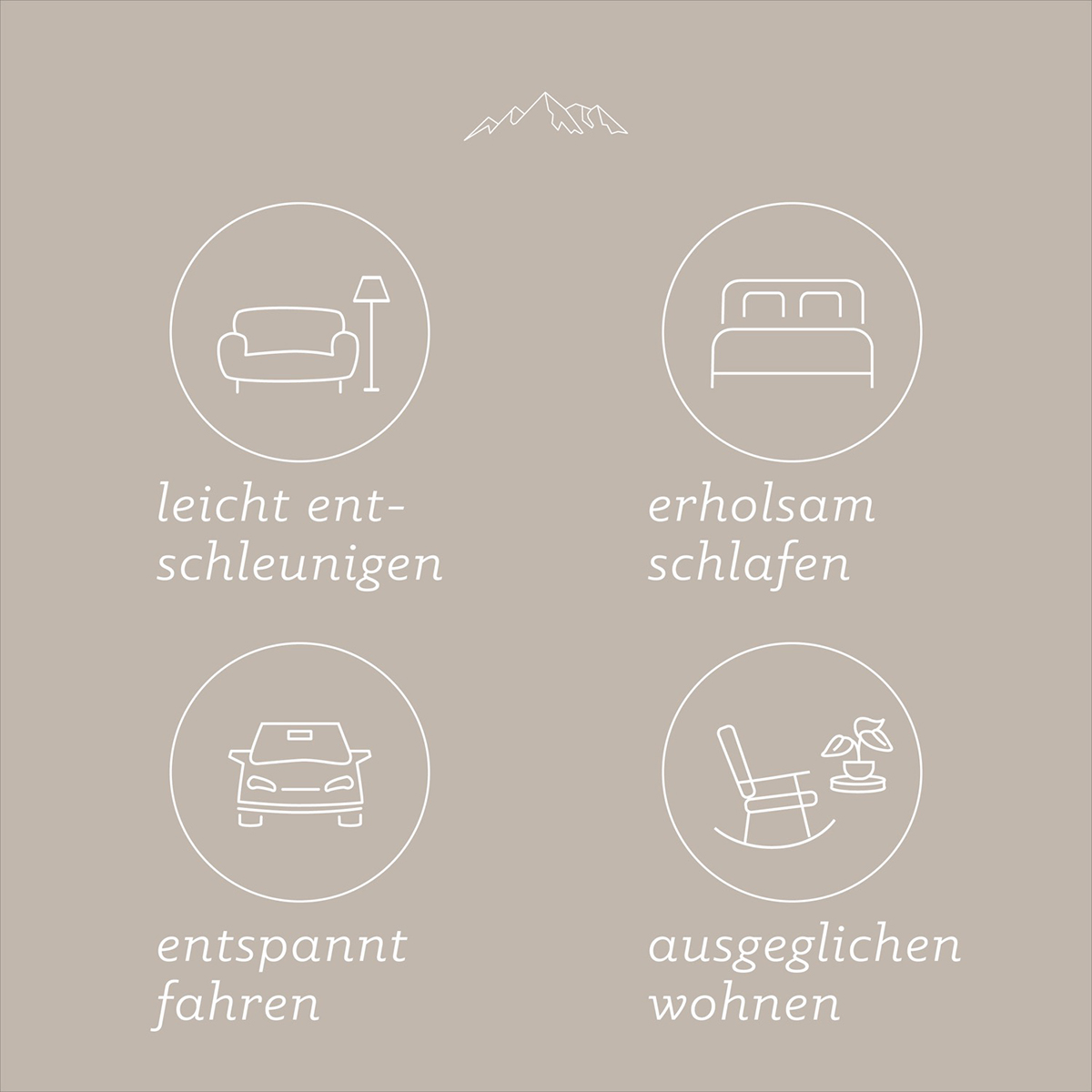 200927_AQ_Amazon_Grafiken_Zirbenkissen4 Bild: