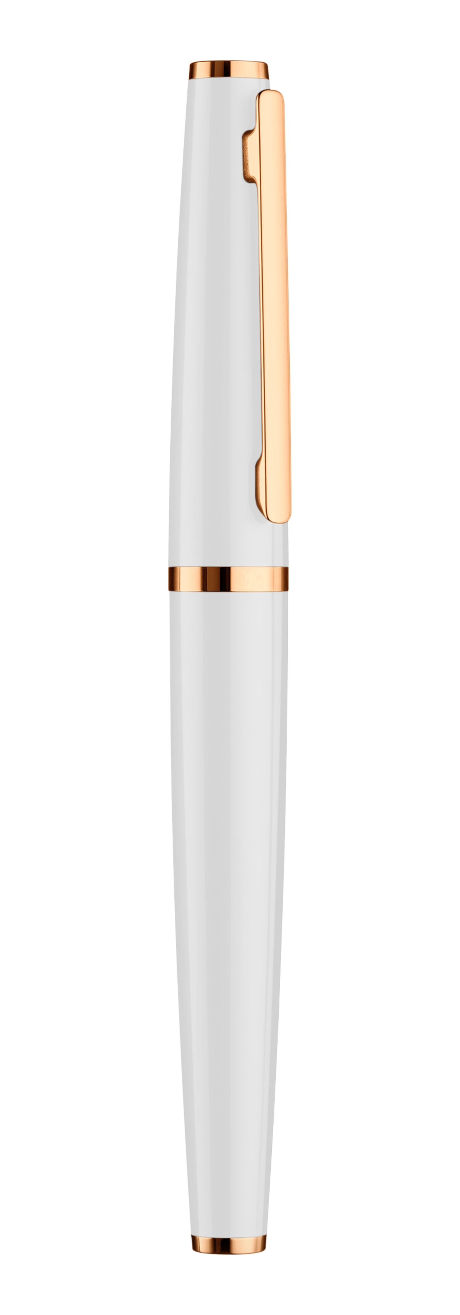 018-16506-FHM06weissroseglanz9ULsubv2ZV0o7 Bild: