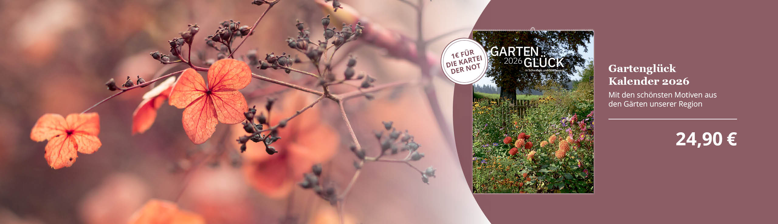 Blatt, Pflanze, Blume, Geranie