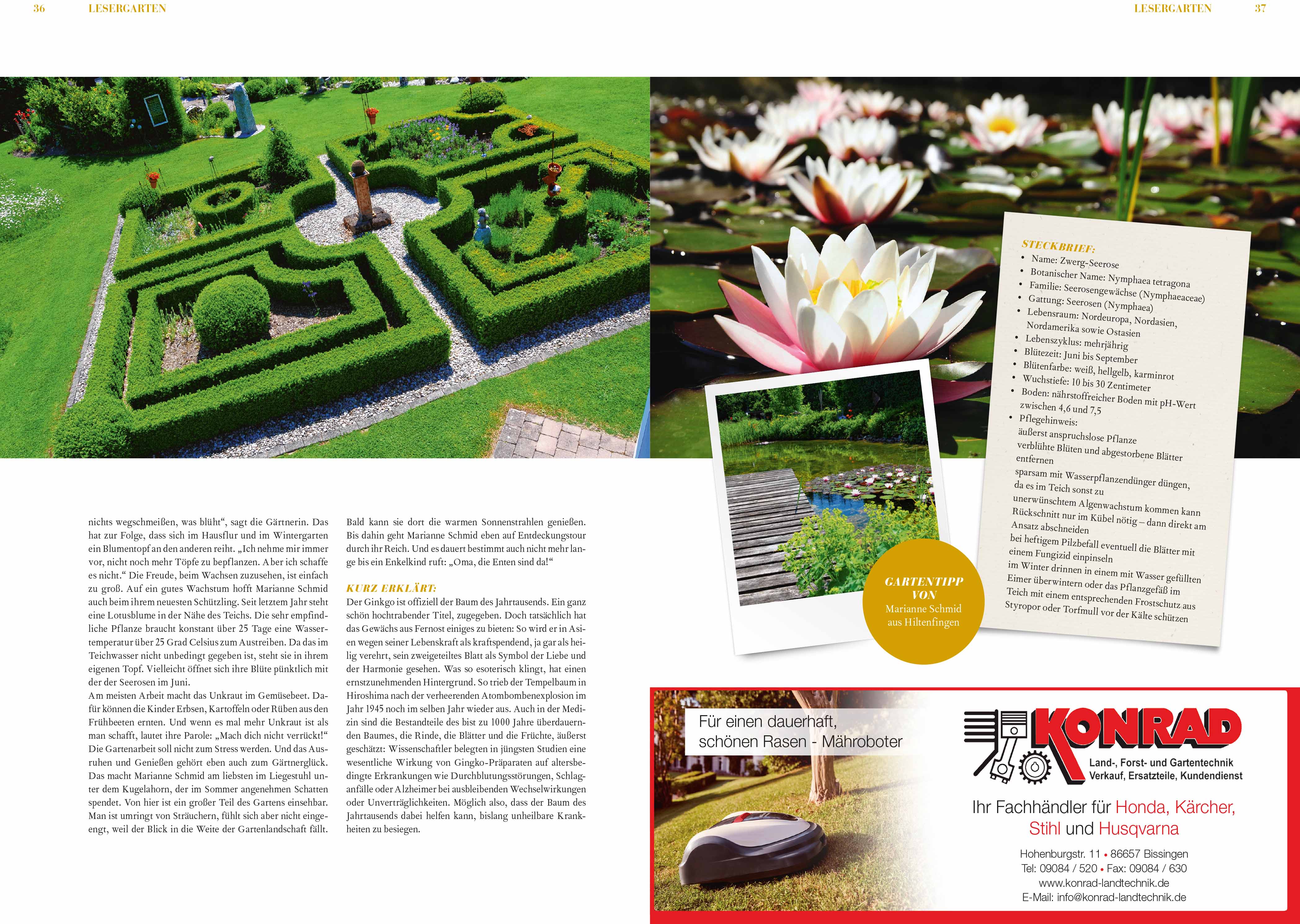 Gartentipp07_3 Bild: