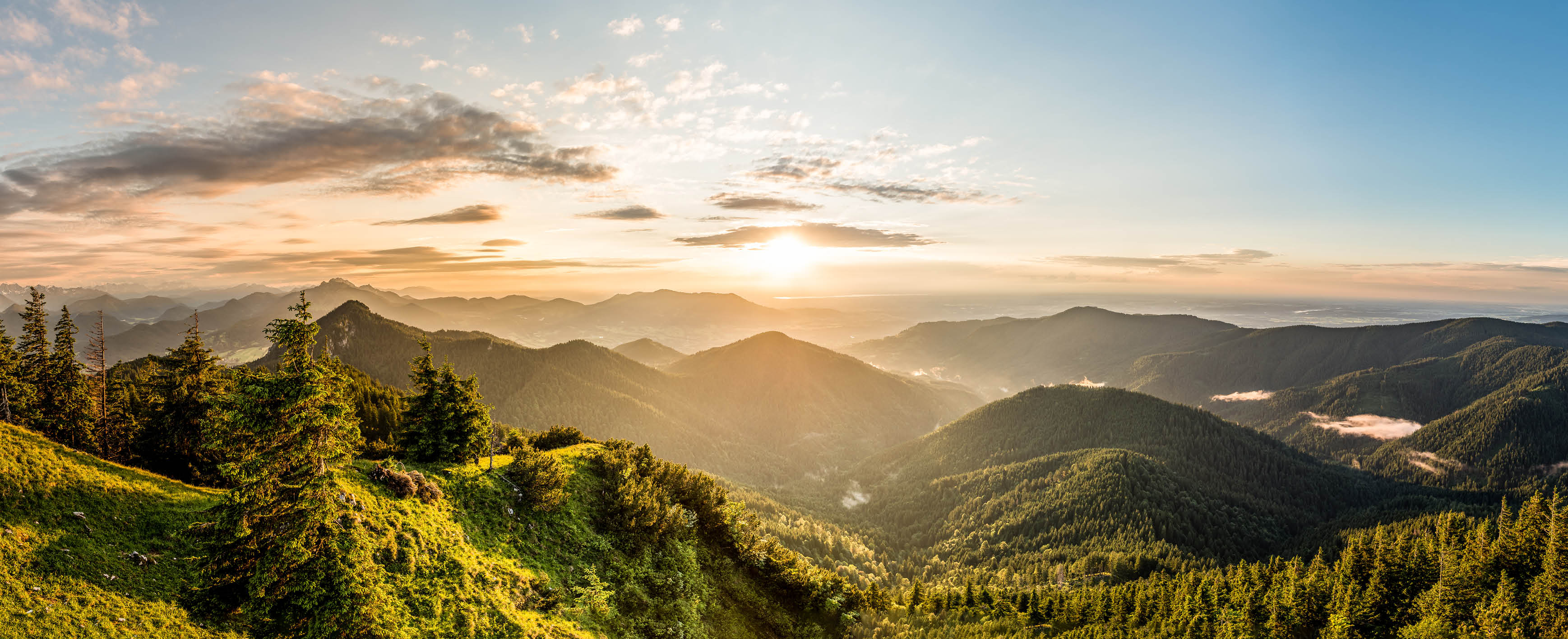 Landschaft, Natur, Panoramisch, Baum