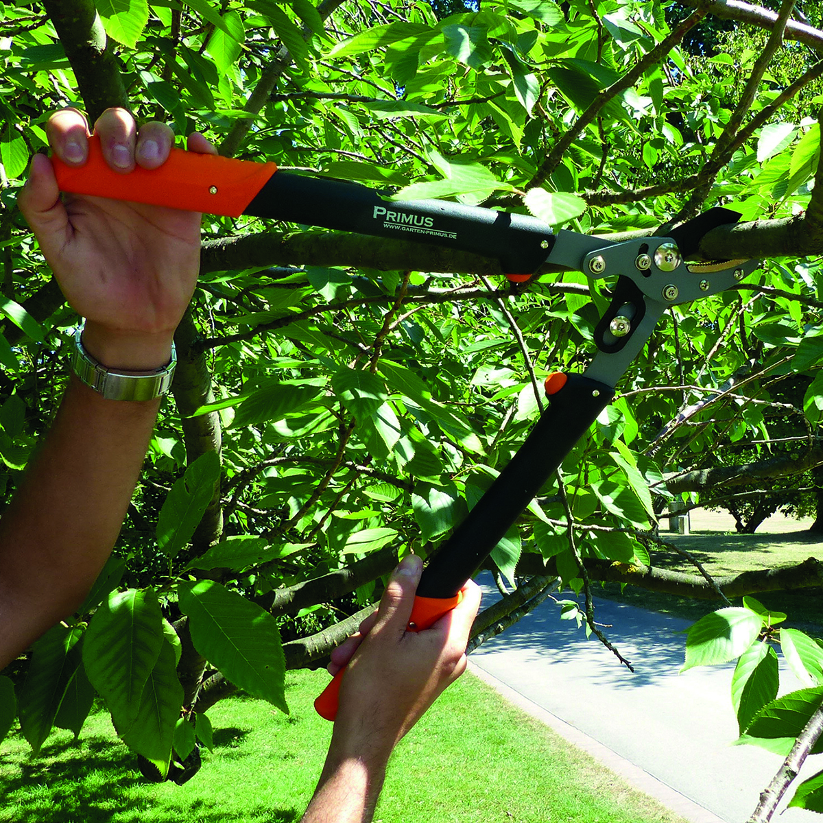 Garten, Natur, Draußen, Blatt, Gartenarbeit