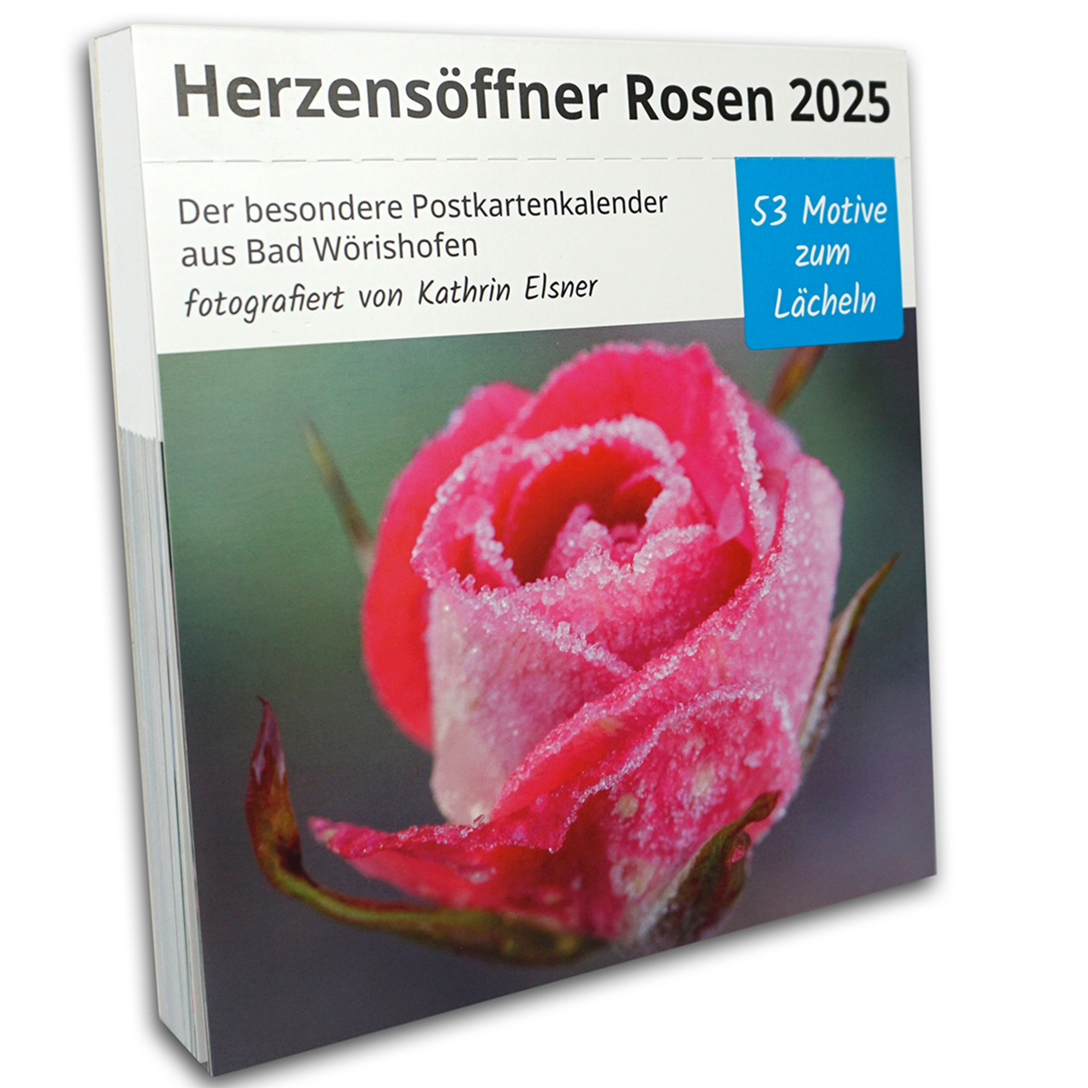 Postkartenkalender “Herzensöffner Rosen“ 2025