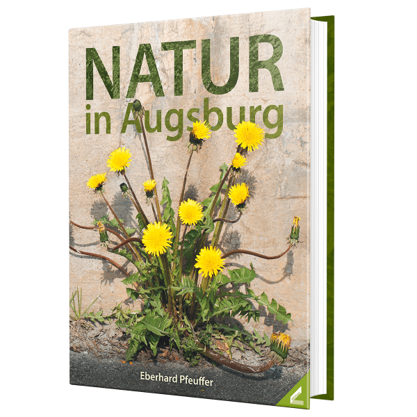 Natur in Augsburg